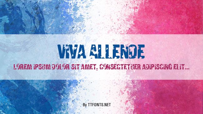 Viva Allende example